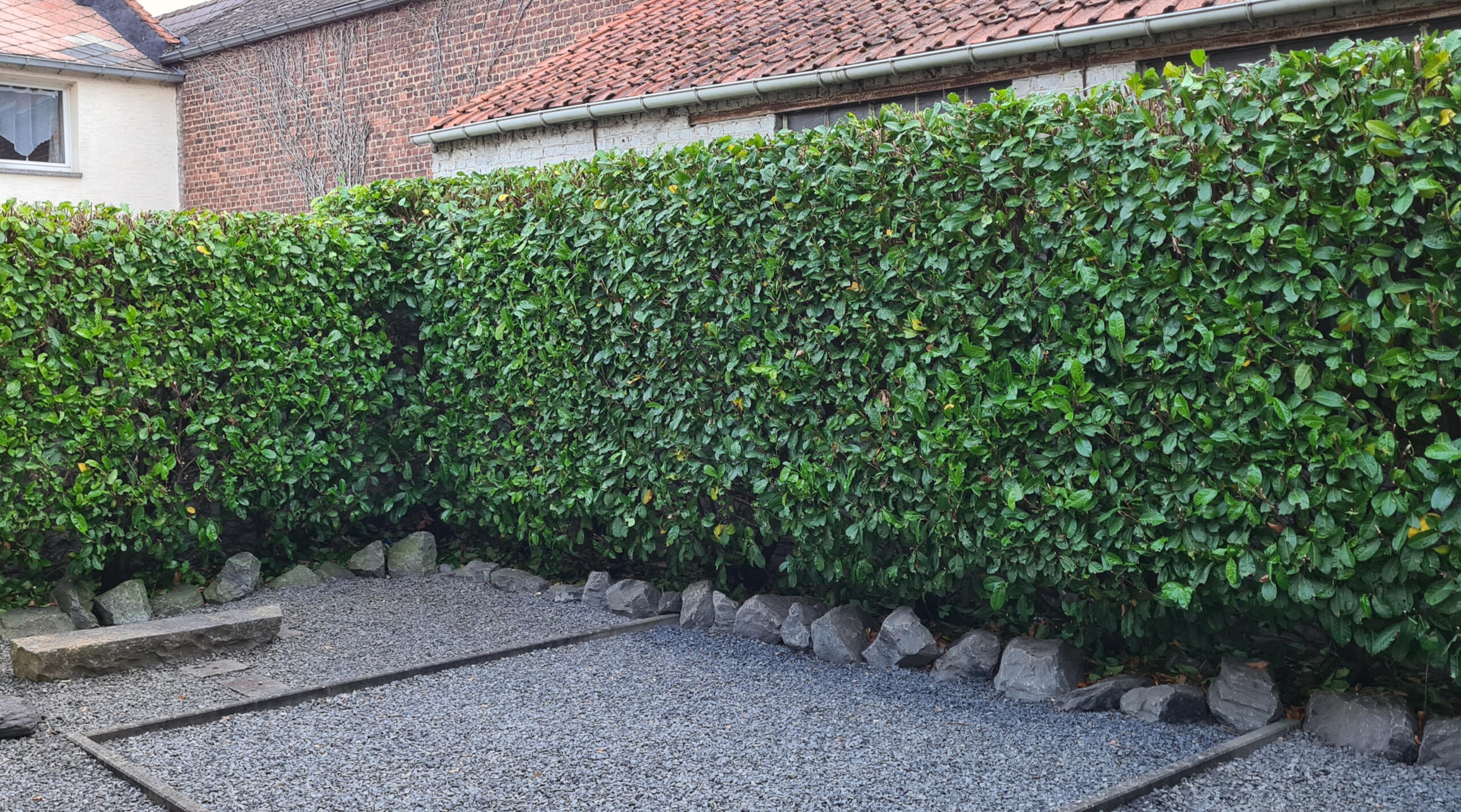 **Tonte de pelouse**